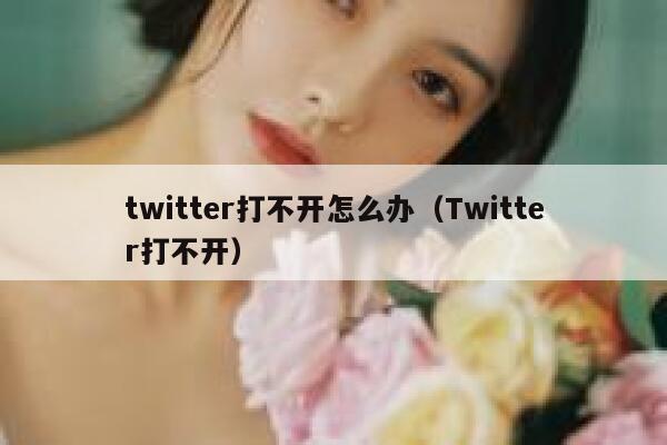 twitter打不开怎么办（Twitter打不开） 第1张