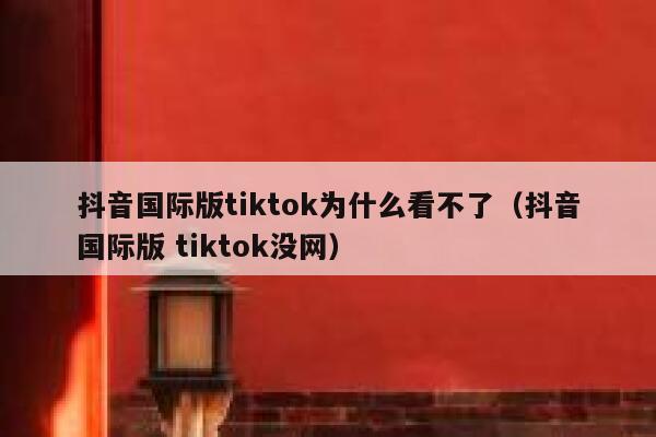 抖音国际版tiktok为什么看不了（抖音国际版 tiktok没网） 第1张