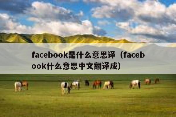 facebook是什么意思译（facebook什么意思中文翻译成） 第1张