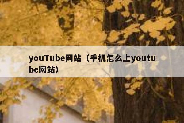 youTube网站（手机怎么上youtube网站） 第1张