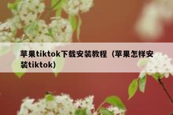 苹果tiktok下载安装教程（苹果怎样安装tiktok） 第1张