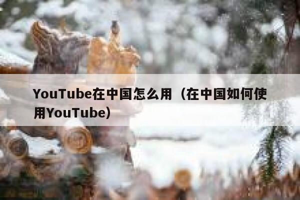 YouTube在中国怎么用（在中国如何使用YouTube） 第1张