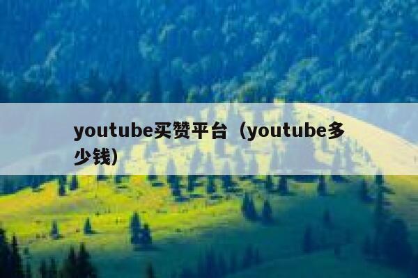 youtube买赞平台（youtube多少钱） 第1张