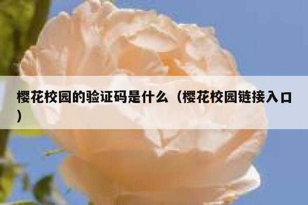 樱花校园的验证码是什么（樱花校园链接入口） 第1张