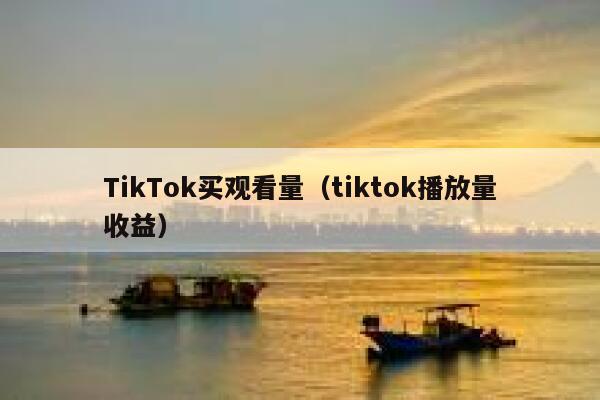 TikTok买观看量（tiktok播放量收益） 第1张