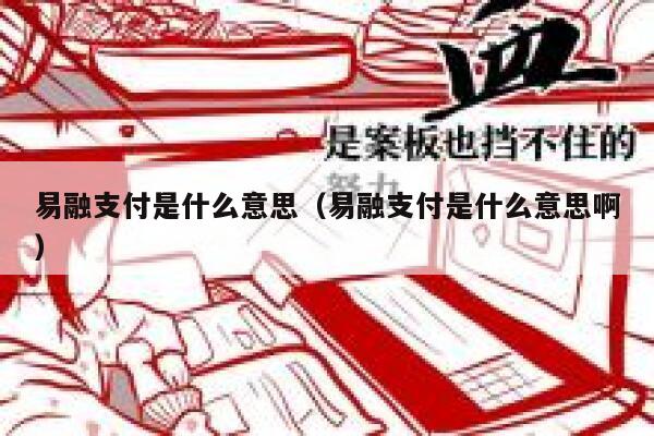 易融支付是什么意思（易融支付是什么意思啊） 第1张