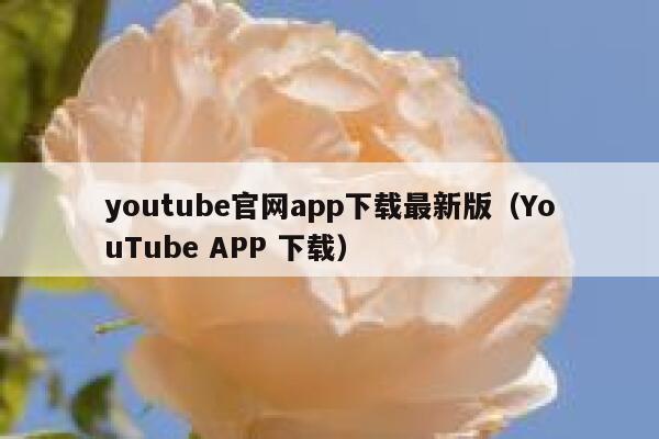 youtube官网app下载最新版（YouTube APP 下载） 第1张