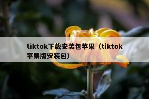 tiktok下载安装包苹果（tiktok苹果版安装包） 第1张