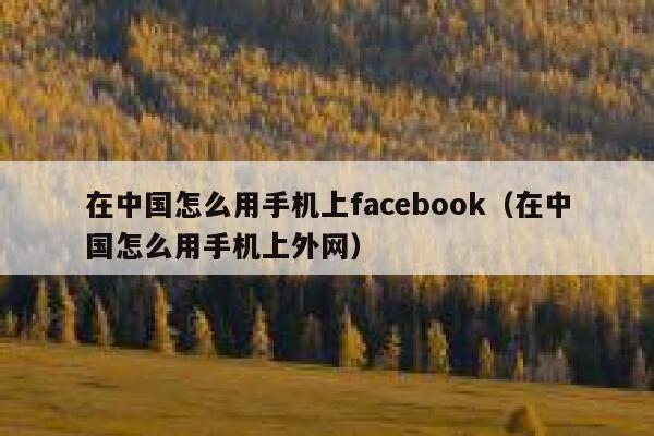 在中国怎么用手机上facebook（在中国怎么用手机上外网） 第1张