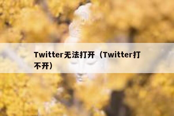 Twitter无法打开（Twitter打不开） 第1张