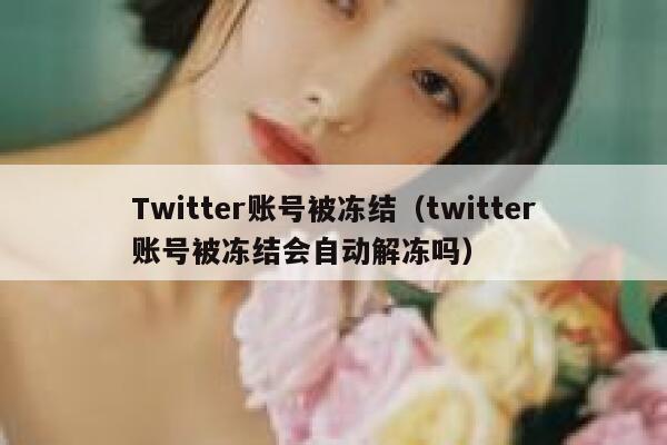 Twitter账号被冻结（twitter账号被冻结会自动解冻吗） 第1张