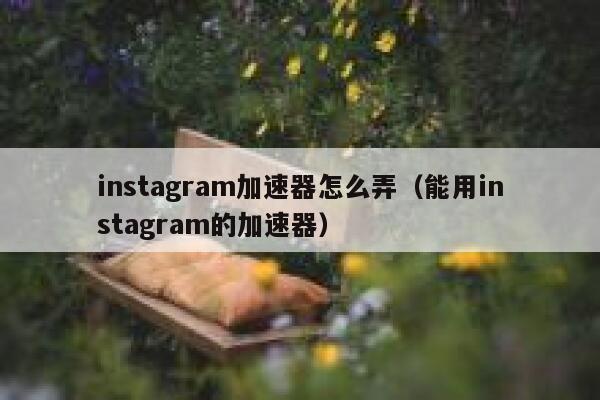 instagram加速器怎么弄（能用instagram的加速器） 第1张