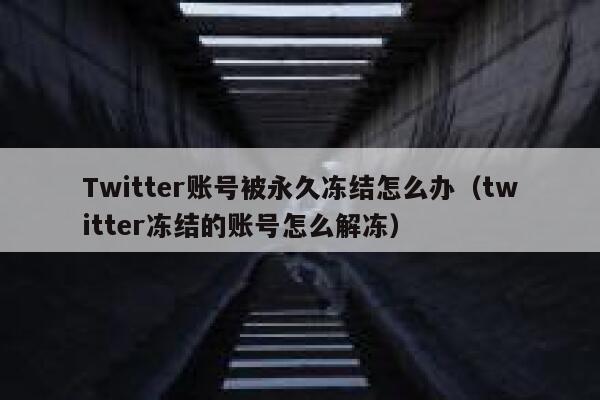 Twitter账号被永久冻结怎么办（twitter冻结的账号怎么解冻） 第1张