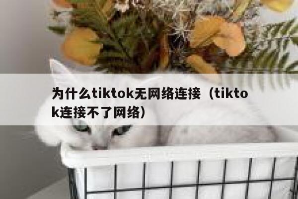 为什么tiktok无网络连接（tiktok连接不了网络） 第1张