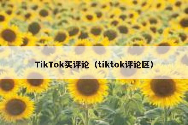 TikTok买评论（tiktok评论区） 第1张