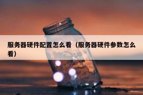 服务器硬件配置怎么看（服务器硬件参数怎么看） 第1张