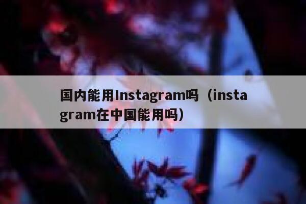 国内能用Instagram吗（instagram在中国能用吗） 第1张