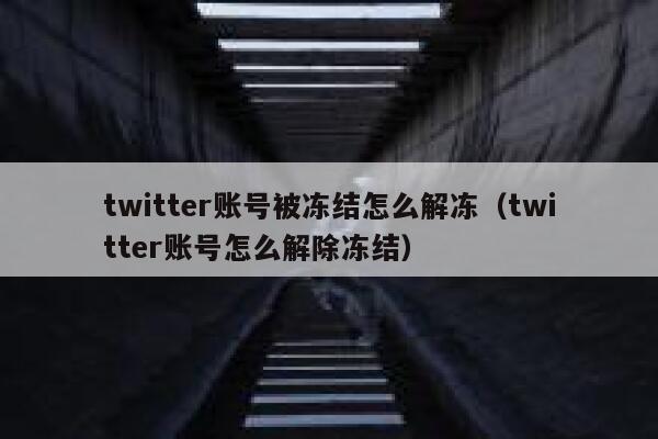 twitter账号被冻结怎么解冻（twitter账号怎么解除冻结） 第1张