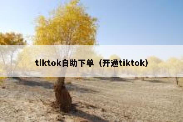 tiktok自助下单（开通tiktok） 第1张