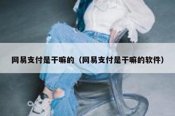 网易支付是干嘛的（网易支付是干嘛的软件） 第1张