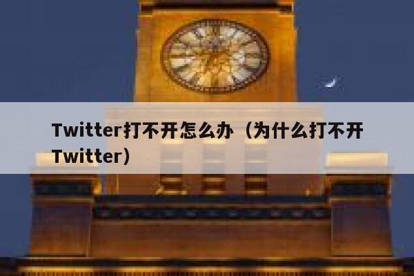 Twitter打不开怎么办（为什么打不开Twitter） 第1张