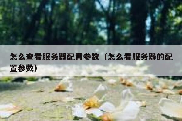 怎么查看服务器配置参数（怎么看服务器的配置参数） 第1张