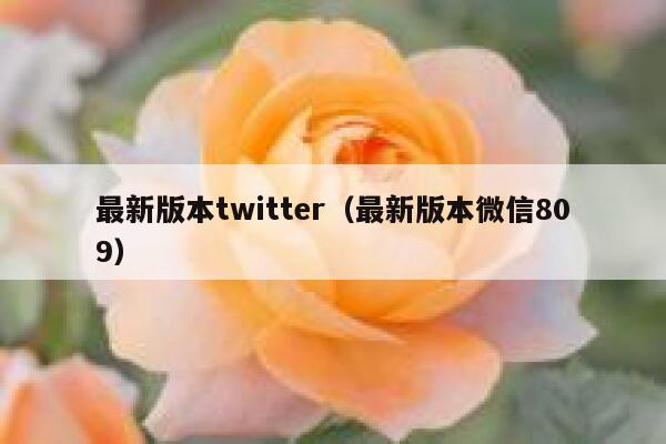 最新版本twitter（最新版本微信809） 第1张