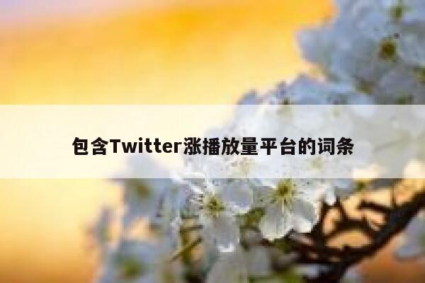 包含Twitter涨播放量平台的词条 第1张