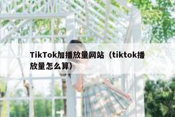 TikTok加播放量网站（tiktok播放量怎么算） 第1张