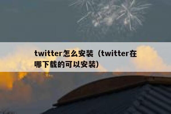 twitter怎么安装（twitter在哪下载的可以安装） 第1张