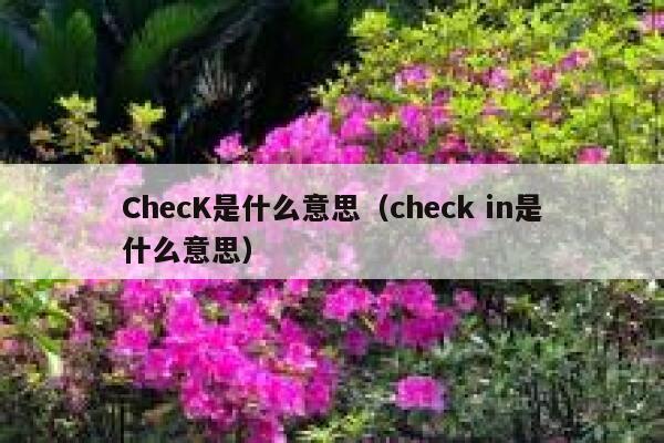 ChecK是什么意思（check in是什么意思） 第1张