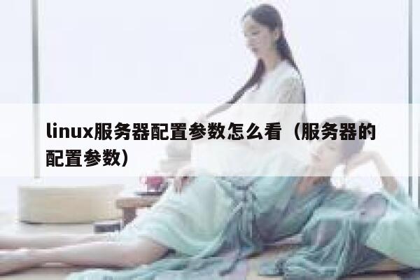 linux服务器配置参数怎么看（服务器的配置参数） 第1张