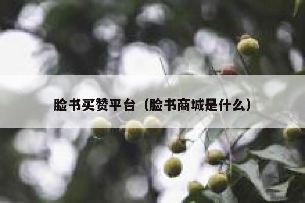 脸书买赞平台（脸书商城是什么） 第1张