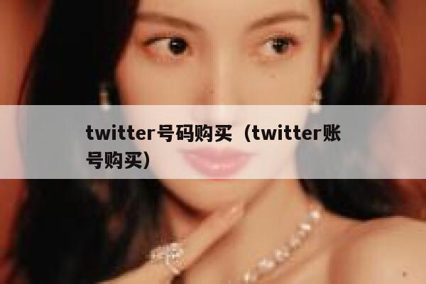 twitter号码购买（twitter账号购买） 第1张