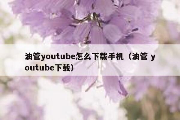 油管youtube怎么下载手机（油管 youtube下载） 第1张