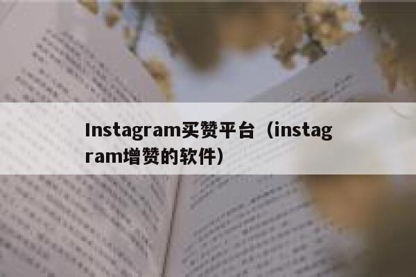 Instagram买赞平台（instagram增赞的软件） 第1张