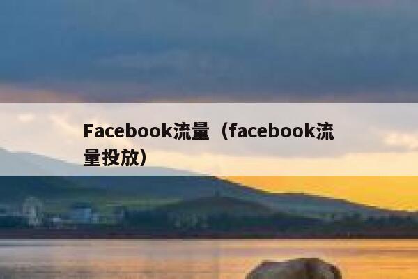 Facebook流量（facebook流量投放） 第1张