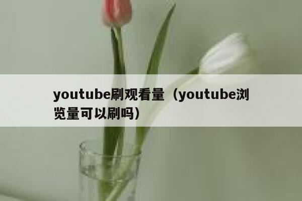 youtube刷观看量（youtube浏览量可以刷吗） 第1张