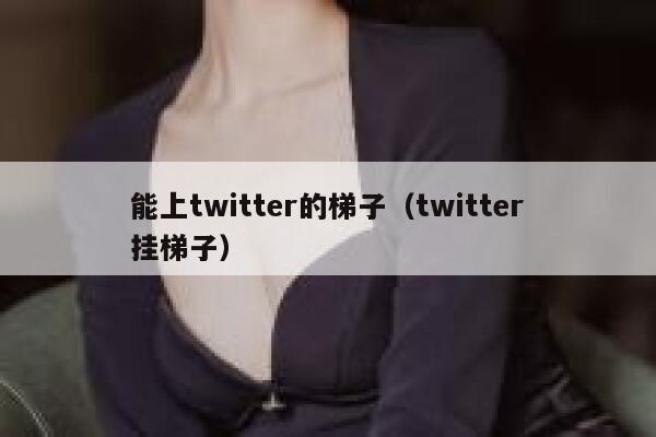 能上twitter的梯子（twitter挂梯子） 第1张