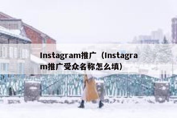 Instagram推广（Instagram推广受众名称怎么填） 第1张