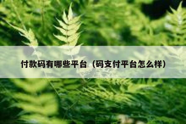 付款码有哪些平台（码支付平台怎么样） 第1张