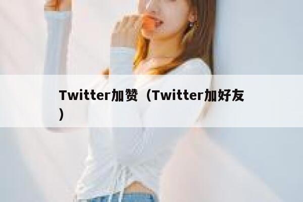 Twitter加赞（Twitter加好友） 第1张