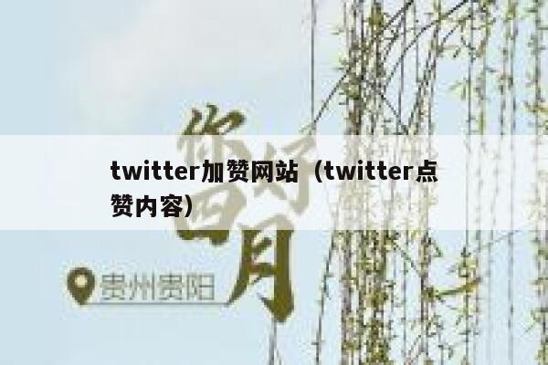 twitter加赞网站（twitter点赞内容） 第1张