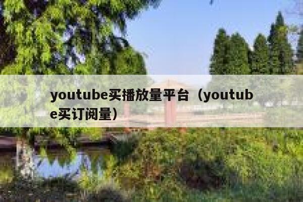 youtube买播放量平台（youtube买订阅量） 第1张