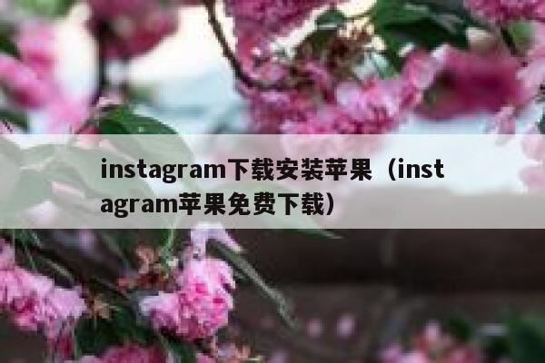 instagram下载安装苹果（instagram苹果免费下载） 第1张