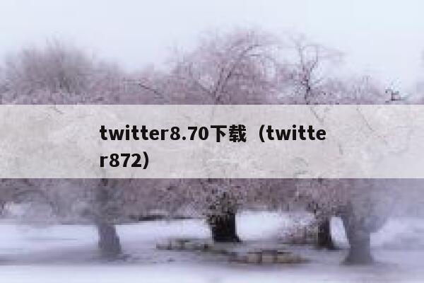 twitter8.70下载（twitter872） 第1张