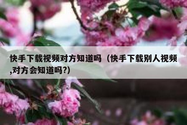 快手下载视频对方知道吗（快手下载别人视频,对方会知道吗?） 第1张