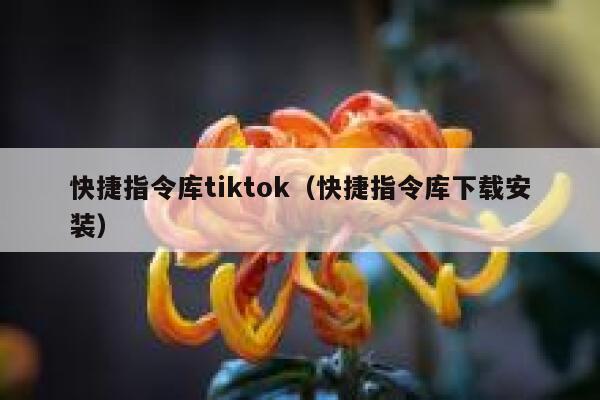 快捷指令库tiktok（快捷指令库下载安装） 第1张