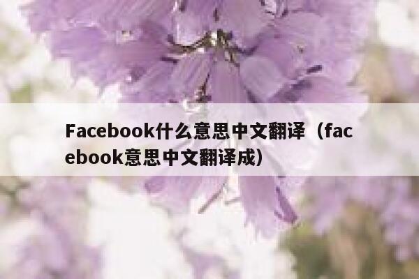 Facebook什么意思中文翻译（facebook意思中文翻译成） 第1张