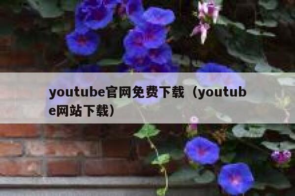 youtube官网免费下载（youtube网站下载） 第1张